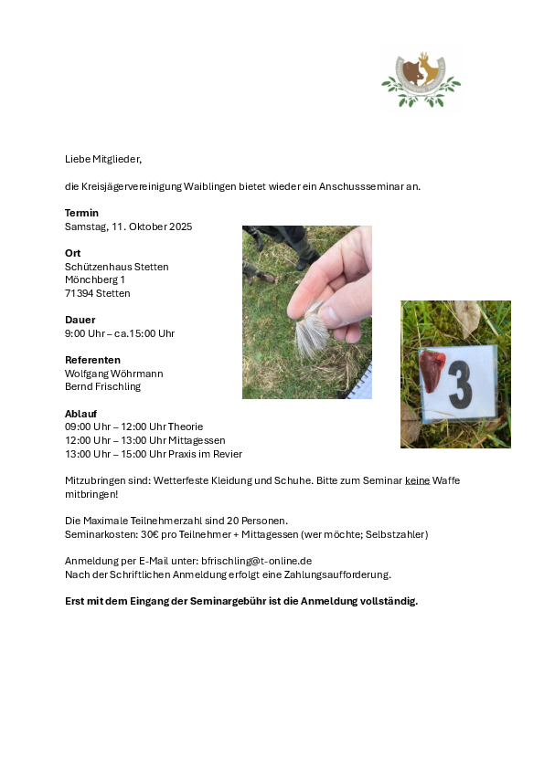 pdf-preview