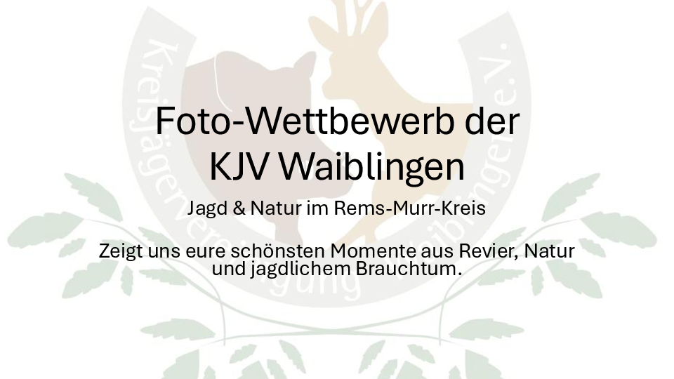 pdf-preview