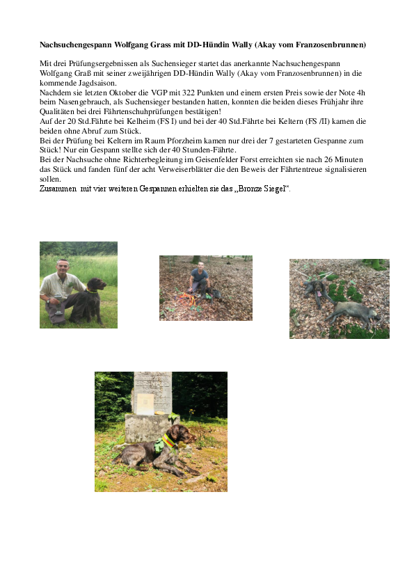 pdf-preview