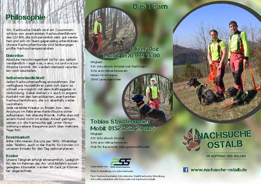 pdf-preview